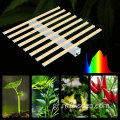 LED Grow Light 6x6 ρύθμιση δωματίου